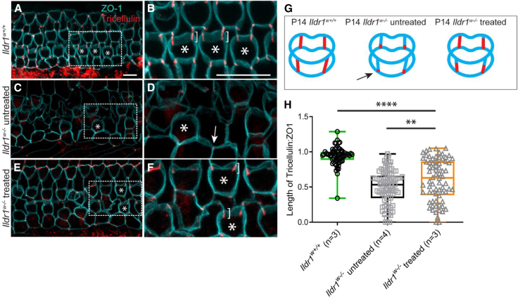Figure 3