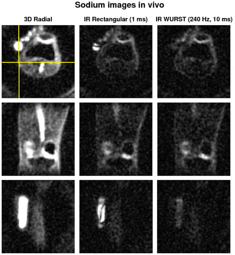 Fig. 6