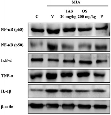 Fig. 6