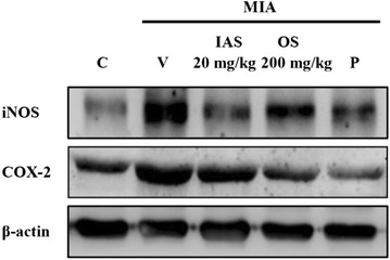 Fig. 5