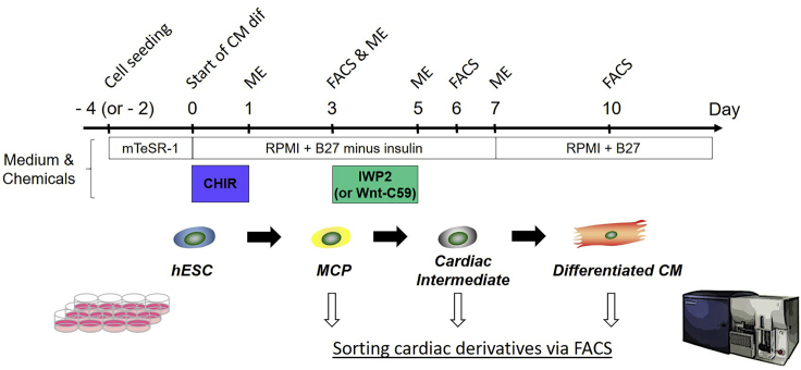 Figure 1