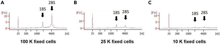 Figure 5