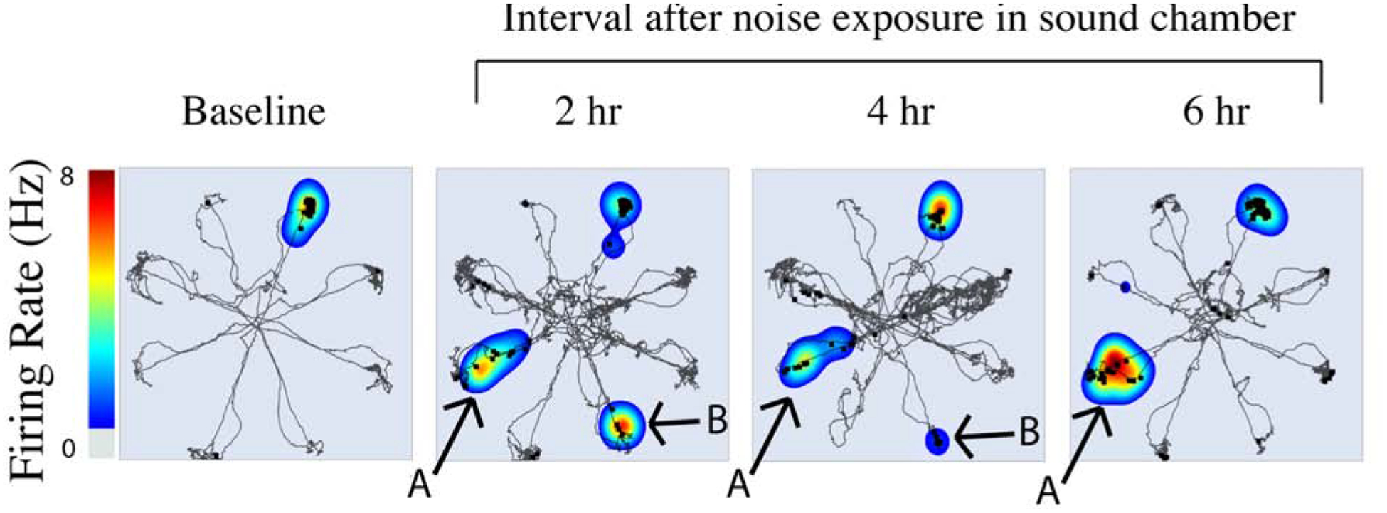 Figure 2: