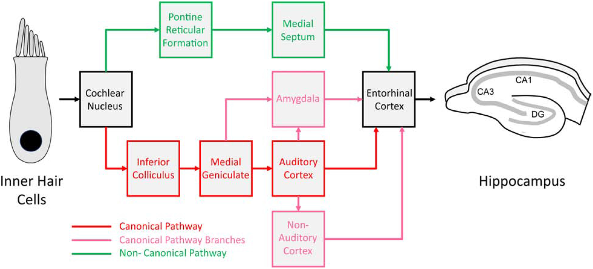 Figure 4: