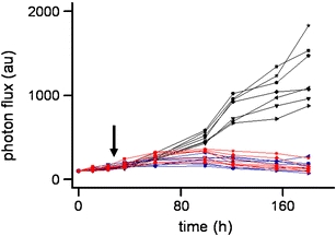 Fig. 7.