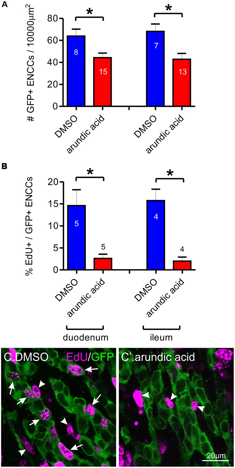 FIGURE 6