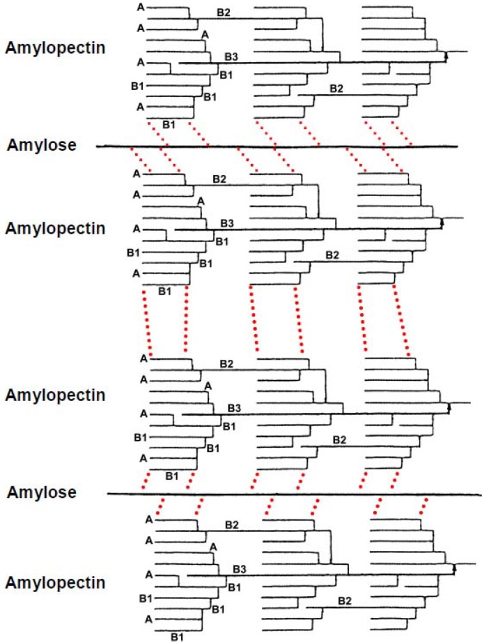 Scheme 4