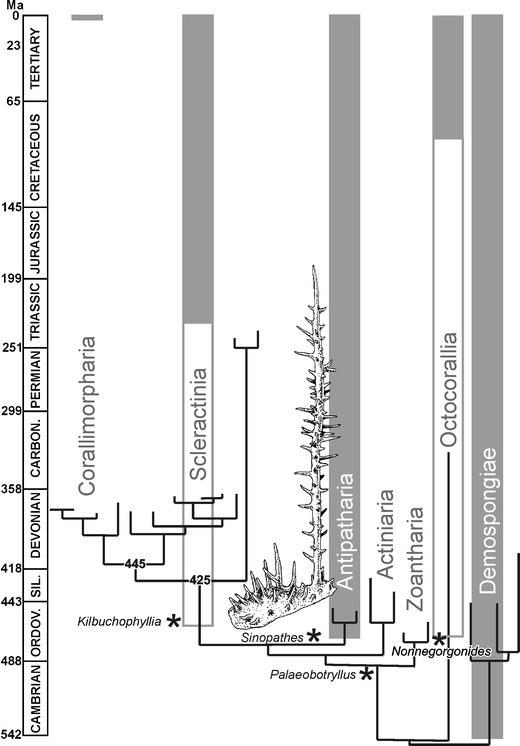 Fig. 7