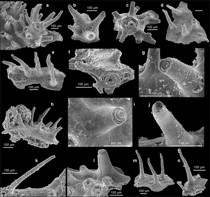 Fig. 4