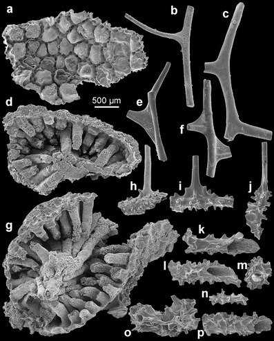 Fig. 5