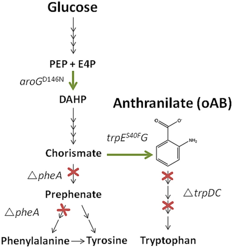 FIGURE 1