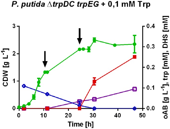 FIGURE 3