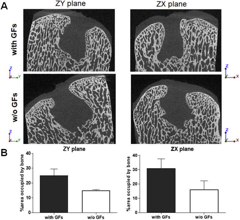 Figure 3