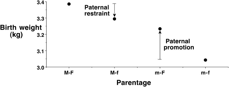 FIGURE 4