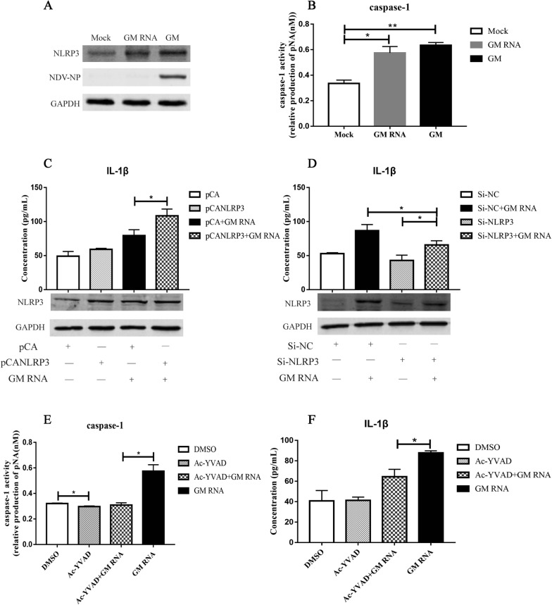 Figure 6