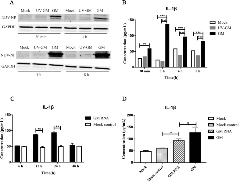 Figure 5