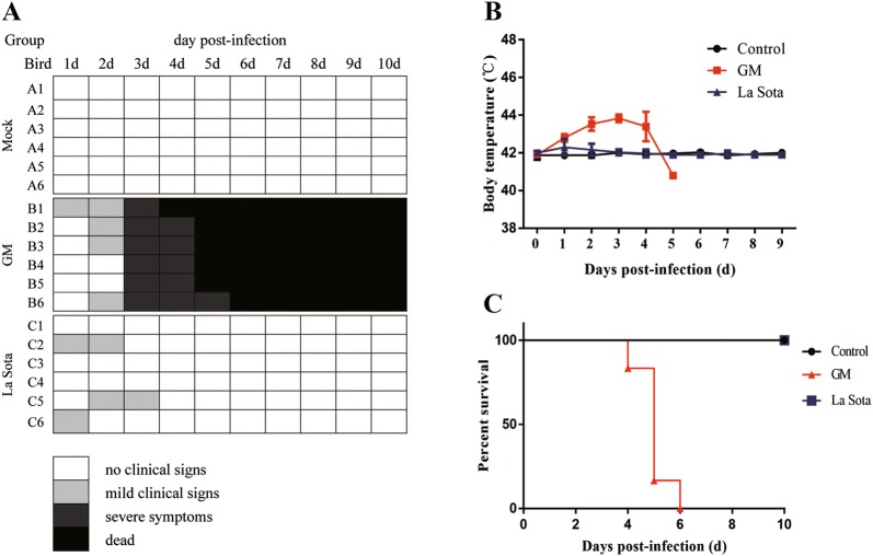 Figure 1