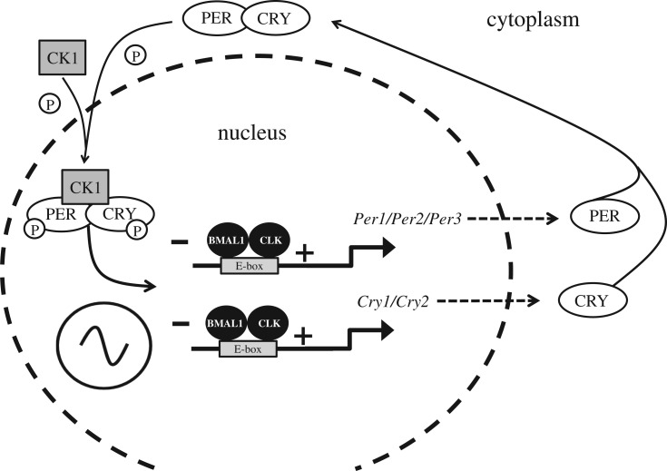 Figure 2.