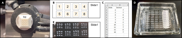 Figure 2