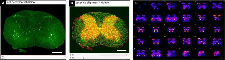 Figure 5