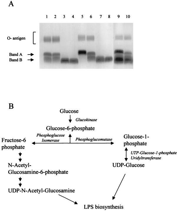 FIG. 3