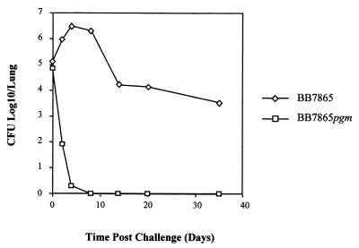 FIG. 5