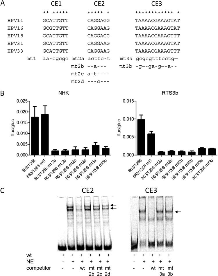 FIG 3