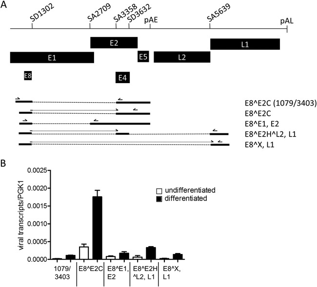 FIG 1