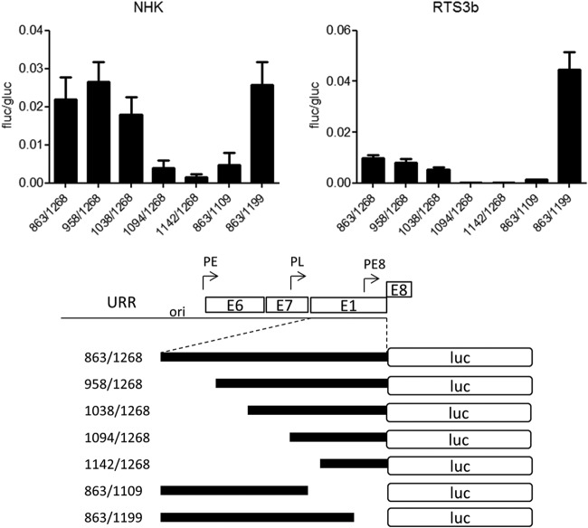 FIG 2