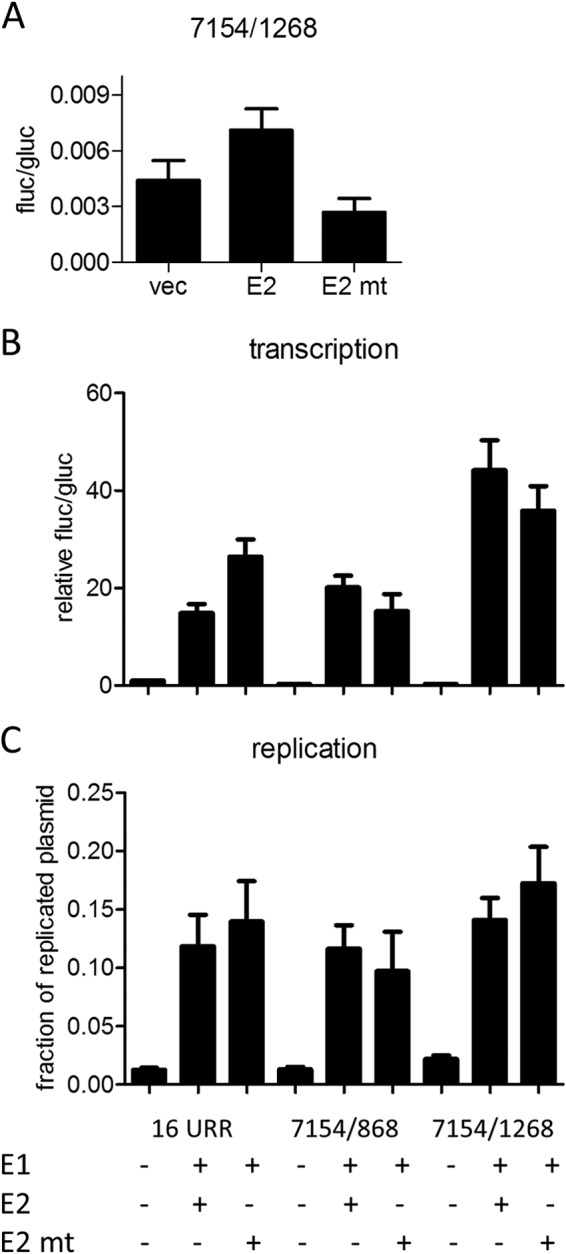 FIG 6