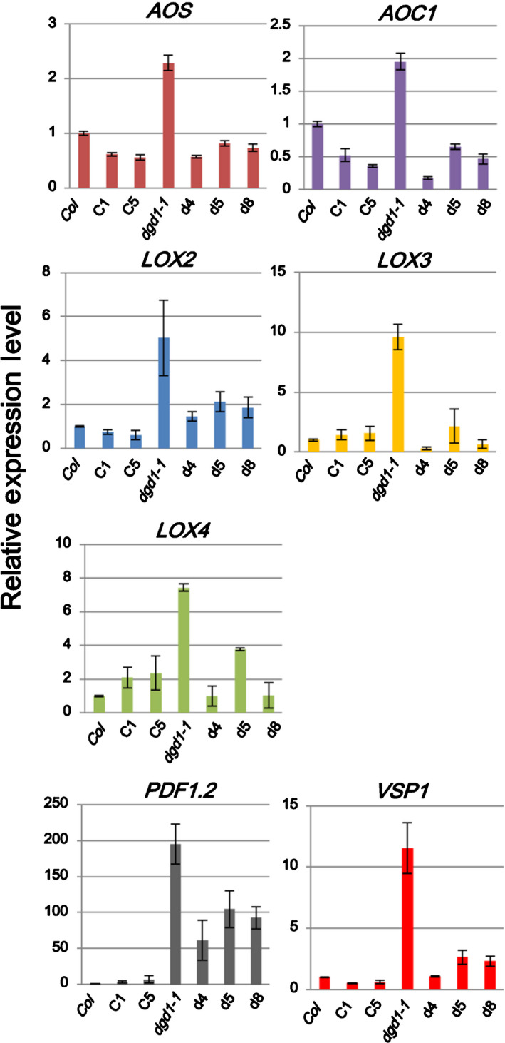 Fig. 4