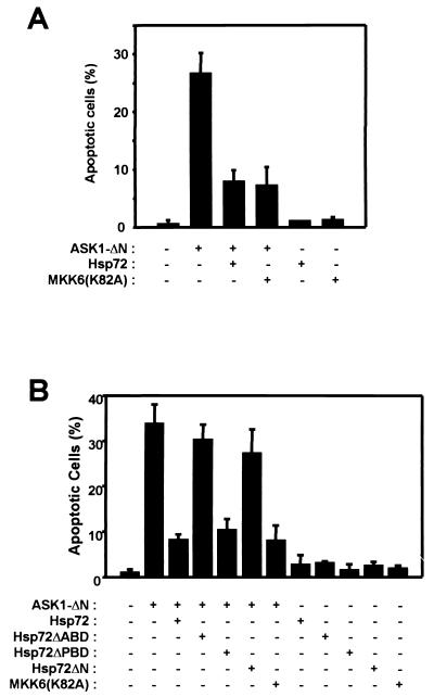 FIG. 8.