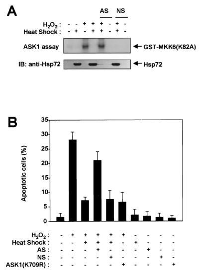 FIG. 9.