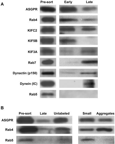 Figure 11.