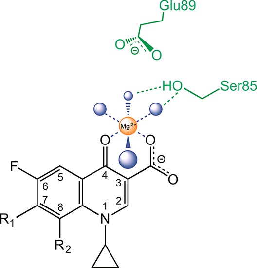 Figure 13