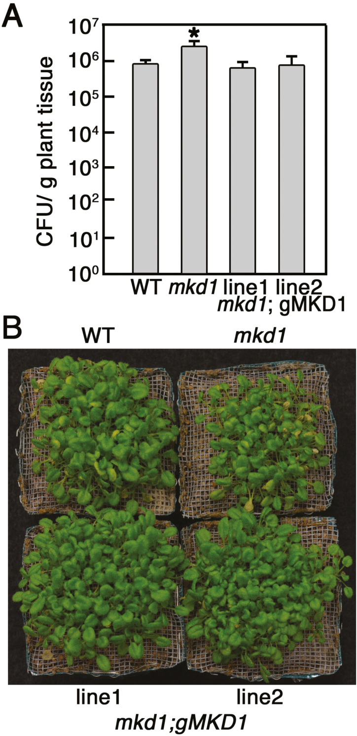 Figure 4.