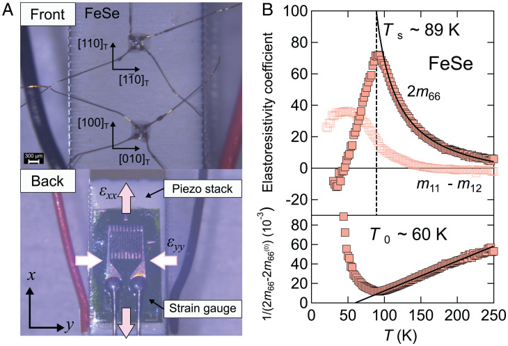 Fig. 2.