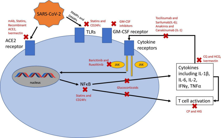 FIGURE 2