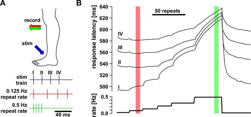 Fig. 9