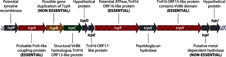 Fig 5