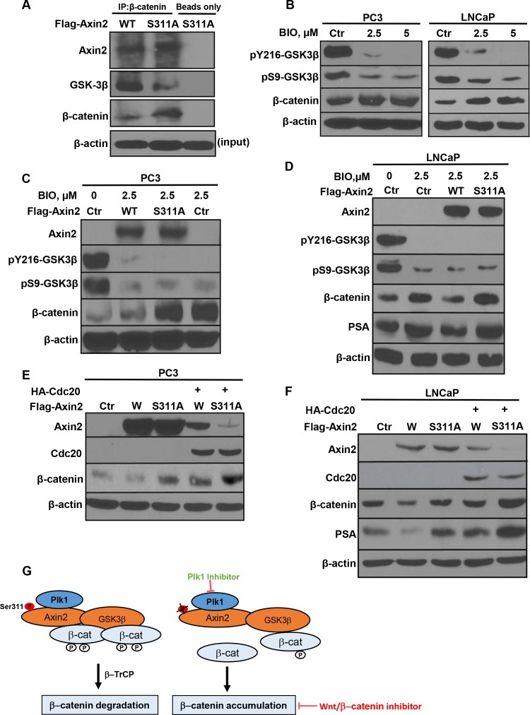 FIG 7