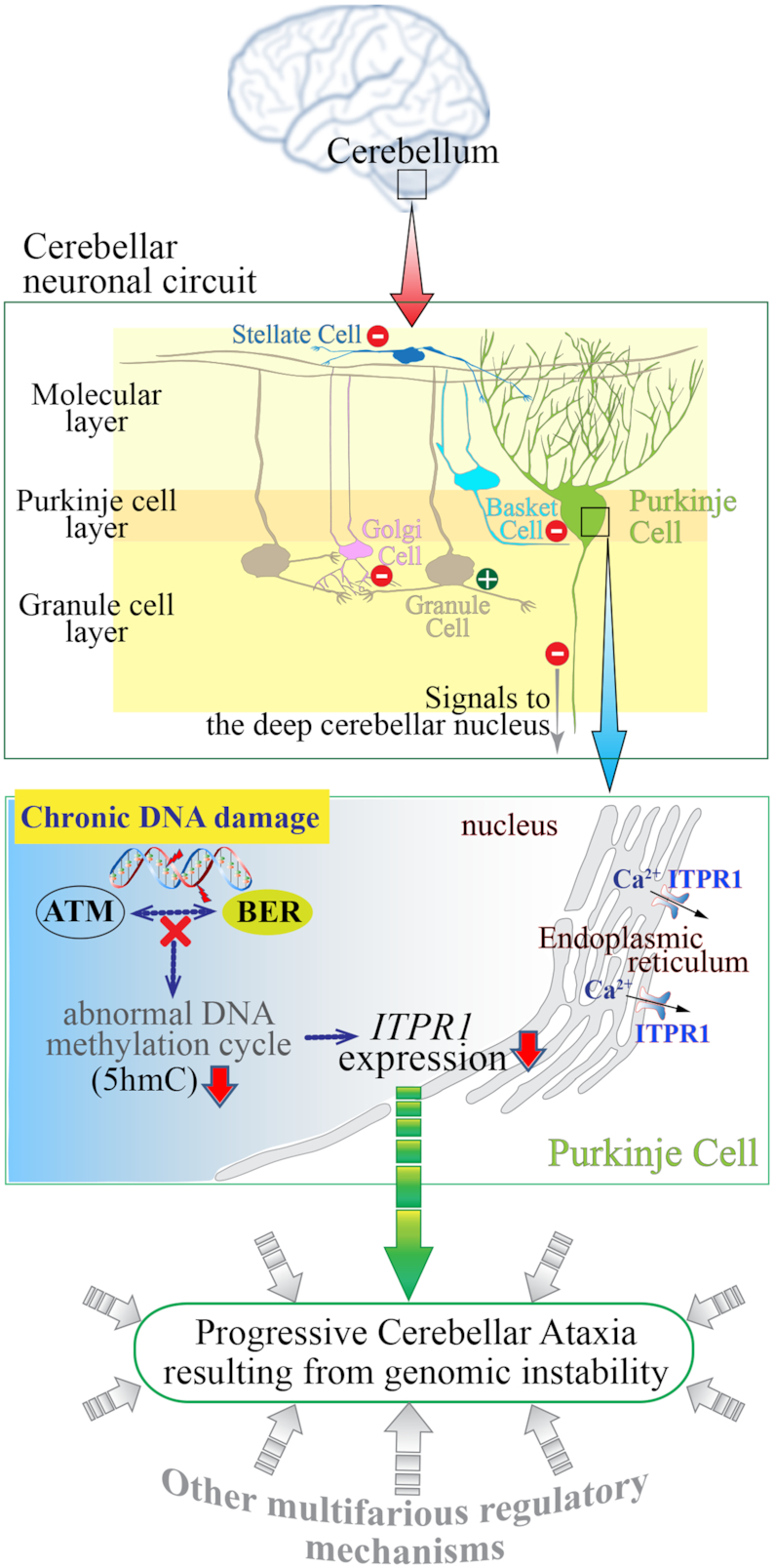 Figure 6.