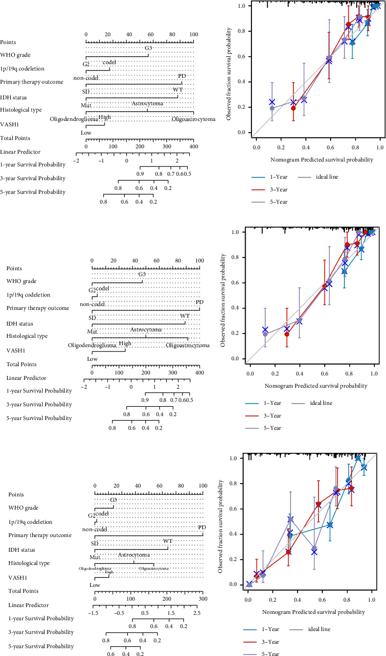 Identification Of Vash As A Potential Prognostic Biomarker Of Lower