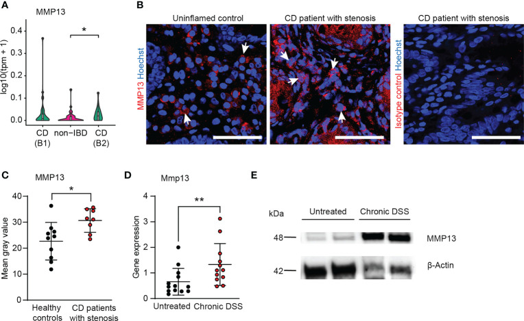 Figure 2