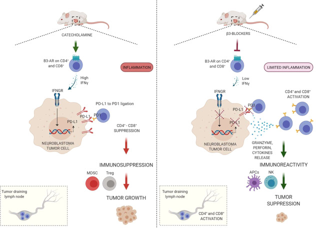 graphic file with name 41417_2023_599_Figa_HTML.jpg