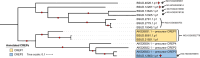 Fig. 2