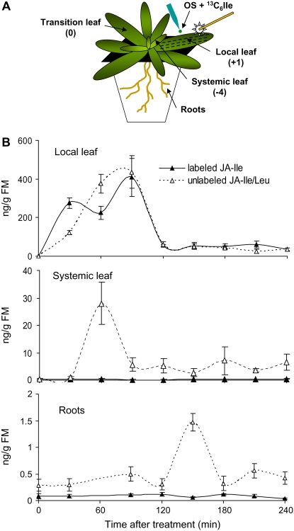 Figure 7.