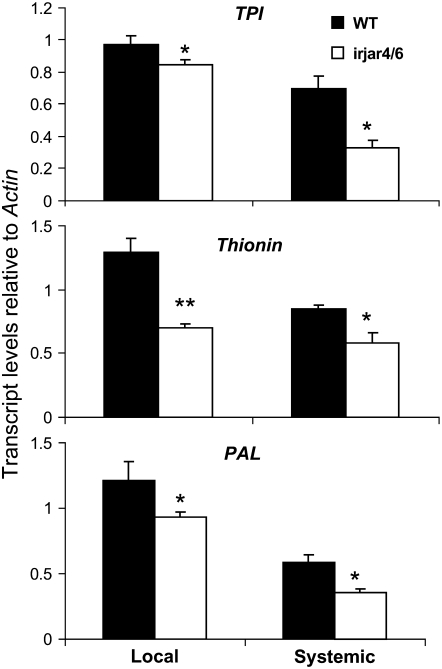 Figure 6.