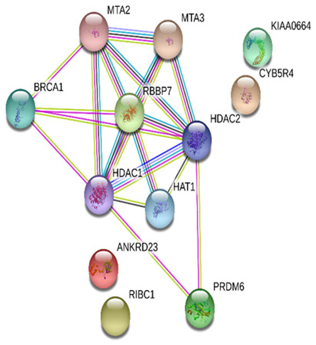 Figure 4.