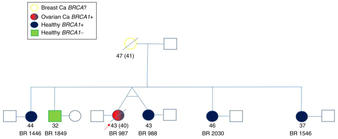 Figure 1.